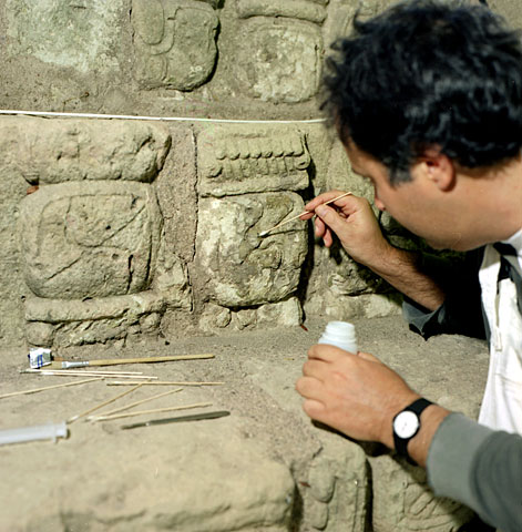 Conservation image