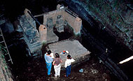 Conservation image