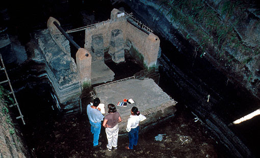 Conservation image