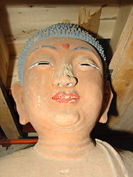 Conservation image