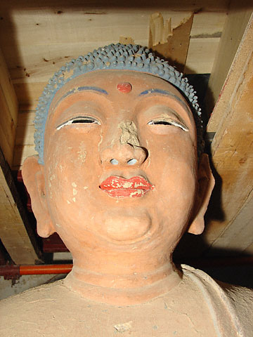 Conservation image