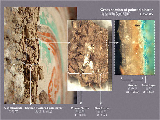 Conservation image