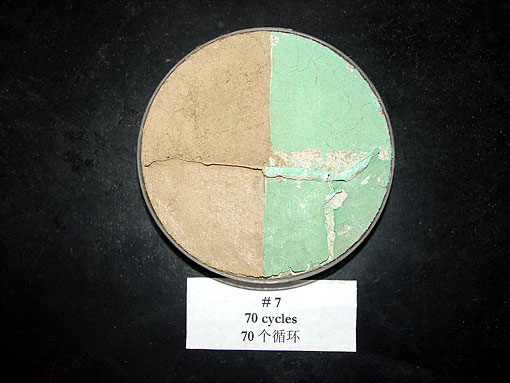 Conservation image