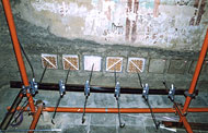 Conservation image