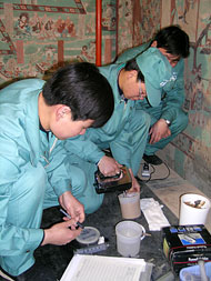 Conservation image