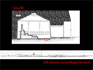 Conservation image