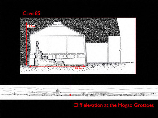 Conservation image