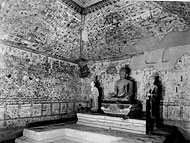 Conservation image