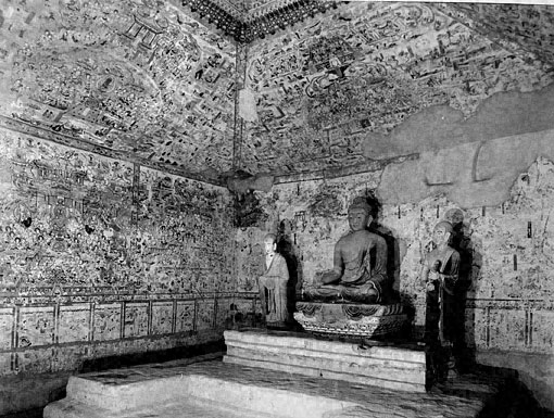 Conservation image