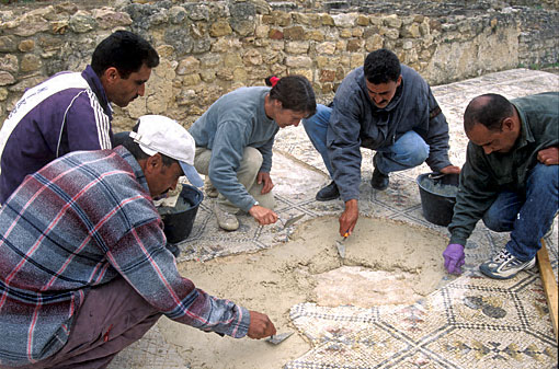 Conservation image