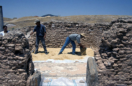 Conservation image