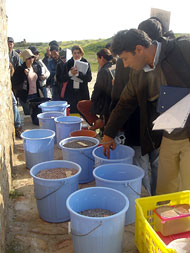 Conservation image