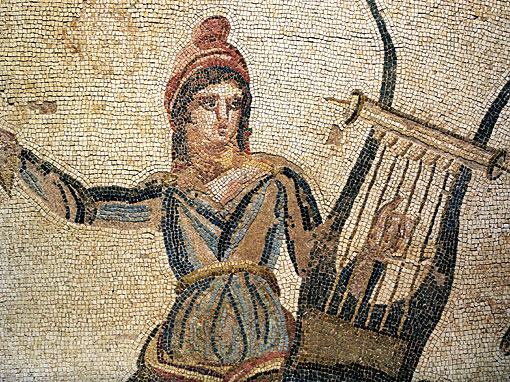 Conservation image