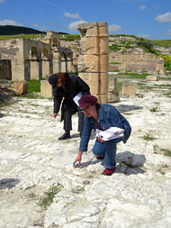 Conservation image