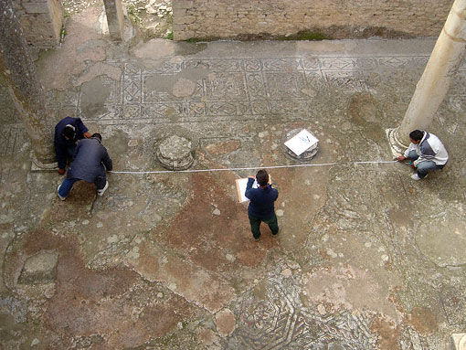 conservation image