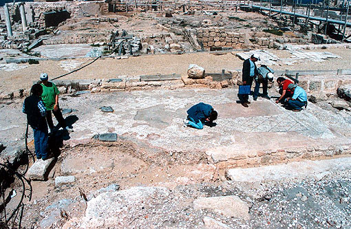 conservation image