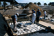 Conservation image