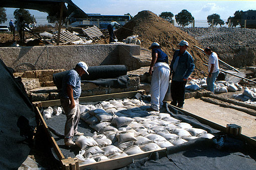 Conservation image