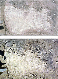 Conservation image