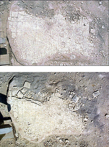 Conservation image
