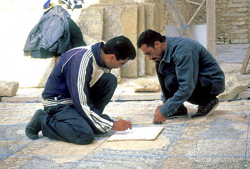 Conservation image
