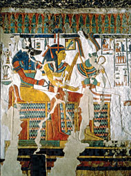 Conservation Image