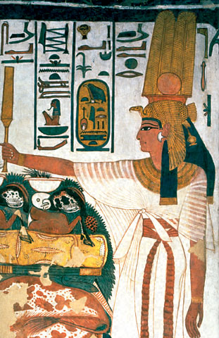 Conservation Image