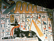 Conservation Image