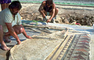 Conservation image
