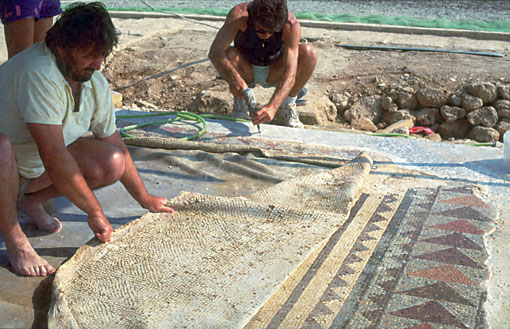 Conservation image