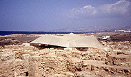 Conservation image
