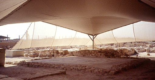 Conservation image