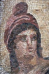 Conservation image