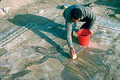 Conservation image