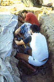 Conservation image
