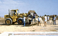 Conservation image