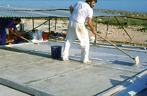 Conservation image