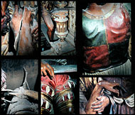 conservation image