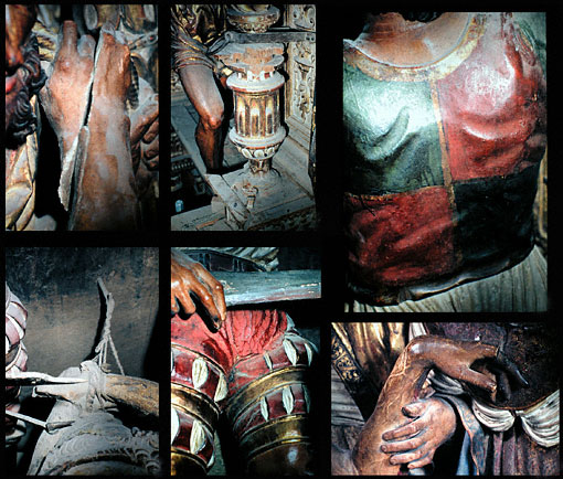 conservation image