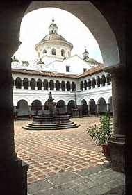 Conservation image