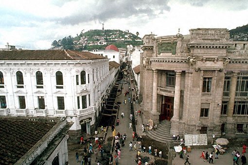 Conservation image