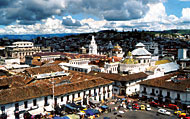 Conservation image