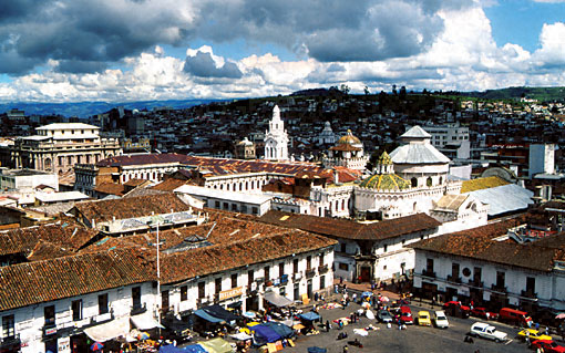Conservation image