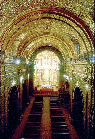 Conservation image