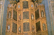 Conservation image