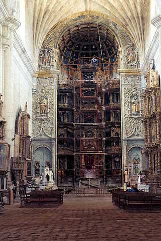 Conservation image