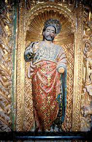 Conservation image