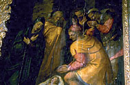 Conservation image