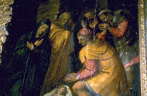 Conservation image