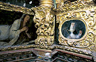 Conservation image